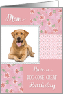 Dog-gone Great Birthday for Mom - Photo Card Template card