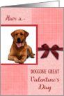 Valentine’s Day Doggone Great Dog Custom Photo card