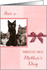 Mother’s Day, purrrfectly great - cat custom photo card