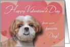Happy Valentine’s Day from Your Favorite Dog card