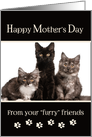 Mother’s Day From Cats - Custom Photo Card
