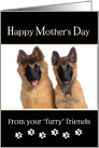 Mother’s Day From Dogs - Custom Photo Card