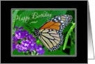 Happy Birthday Butterfly and Flowers card
