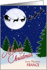 Merry Christmas from Pyrenees (or your own City) France card