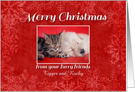 Merry Christmas from your furry friends, dog & cat custom name card