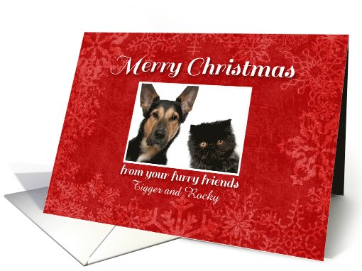Merry Christmas from your furry friends, dog & cat custom... (1009175)