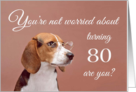 Happy 80th birthday, worried beagle card