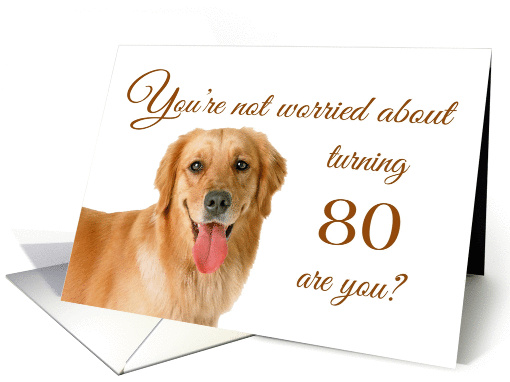 Happy 80th birthday, worried lab card (1149812)