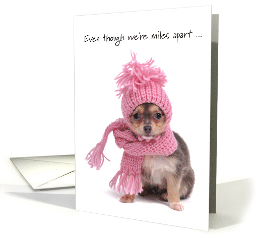 Miles Apart on Valentine's Day - cute dog w/pink scarf & cap card