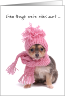 Miles Apart on Valentine’s Day - cute dog w/pink scarf & cap card