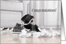Congratulations Litter of Puppies card