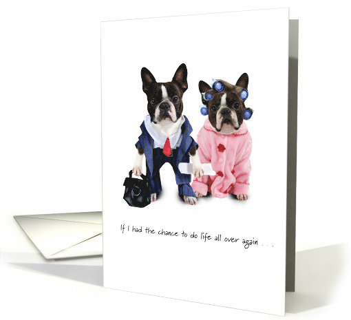 Anniversary Dogs - You're Still the One! card (1258148)