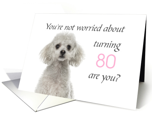Happy 80th Birthday, Worried Poodle card (1532016)