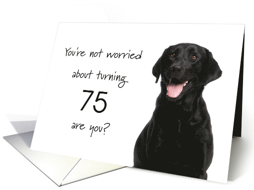 Happy 75th Birthday, Worried Black Lab card (1633376)