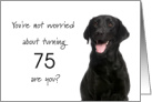 Happy 75th Birthday, Worried Black Lab card