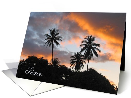 Peace - get well/encouragement card (346725)