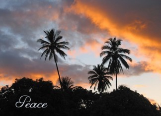 Peace of God -...