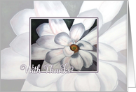 Magnolia - With Thanks business card