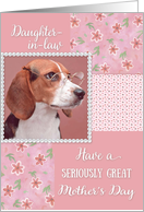 Mother’s Day - doggone great daughter in law card
