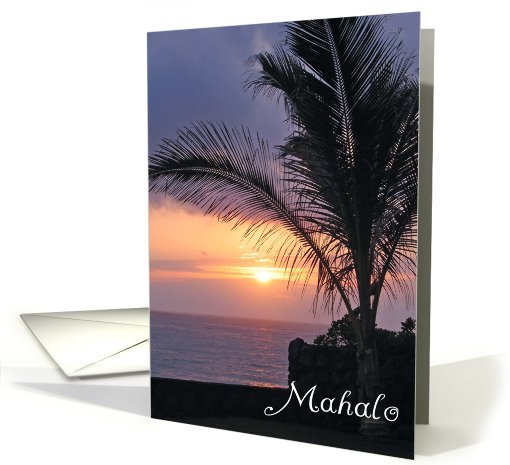 Hawaiian Thank You card (429764)