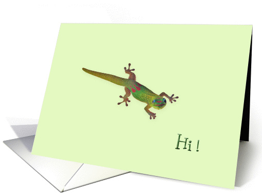 Gecko - Hi card (434335)