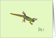 Gecko - Hi card