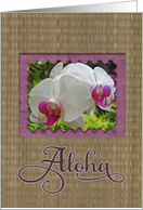 Aloha - Hawaiian thinking of you orchids card