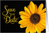 Save the Date Sunflower card