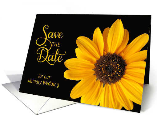 Save the Date, January Wedding Sunflower card (472341)