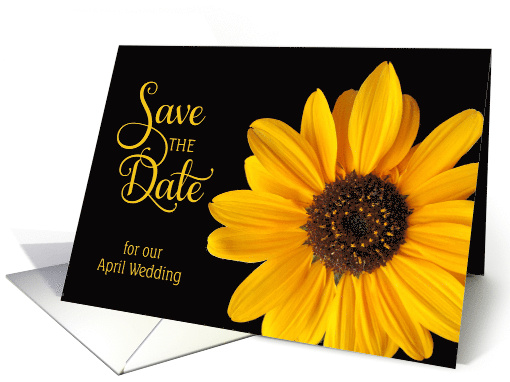 Save the Date, April Wedding Sunflower card (472345)