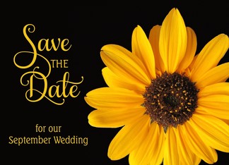 Save the Date, September Wedding Sunflower