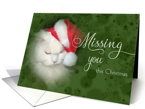Miss you at Christmas cat card (497489)