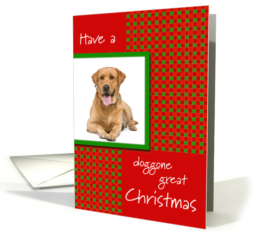 Pet Dog Photo Doggone Great Christmas card (508565)