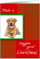 Pet Dog Photo Doggone Great Christmas card