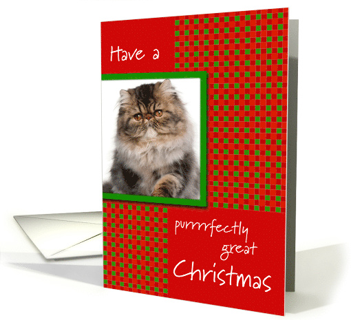 Pet Cat Photo Purrrrfectly Great Christmas card (508567)