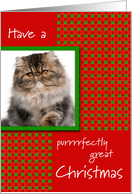 Pet Cat Photo Purrrrfectly Great Christmas card