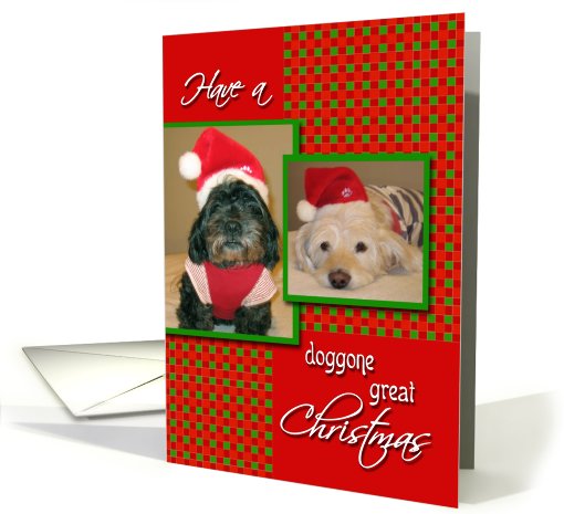 Custom-doggone great Christmas card (537426)