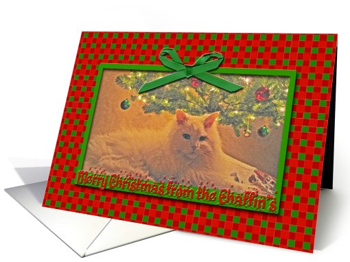 Custom-personal card (538286)
