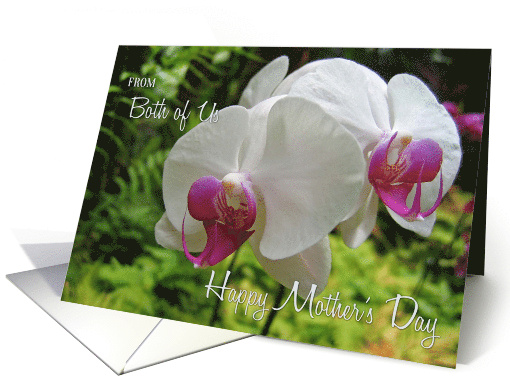 From Both, Mother's Day Orchid card (587473)
