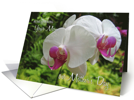 Remembering Mom on Mother's Day Orchid card (588900)