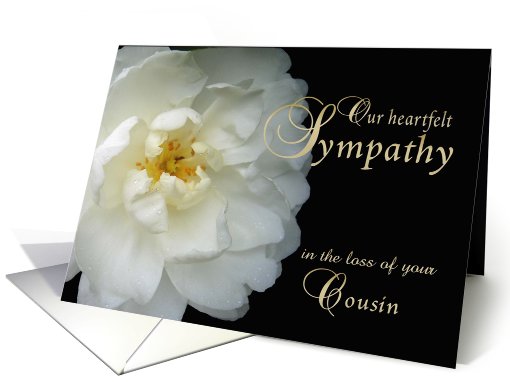 Loss of Cousin, Our Sympathy, white flower card (785671)