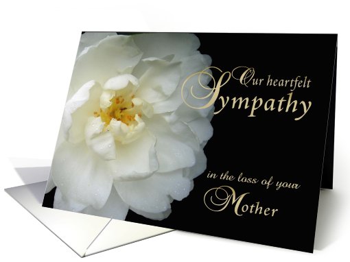 Loss of Mother, Our Sympathy, white flower card (785674)