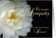 Loss of Friend, Our Sympathy, white flower card
