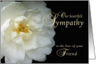 Loss of Friend, Our Sympathy, white flower card
