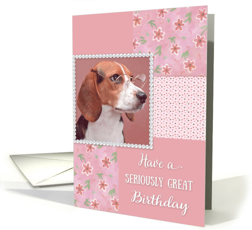 Happy Birthday to Coworker - Serious Dog card (807354)
