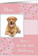 Dog-gone Great Birthday for Mom - Photo Card Template card
