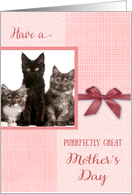 Mother’s Day, purrrfectly great - cat custom photo card