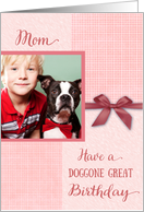Birthday, Doggone great - dog custom photo card