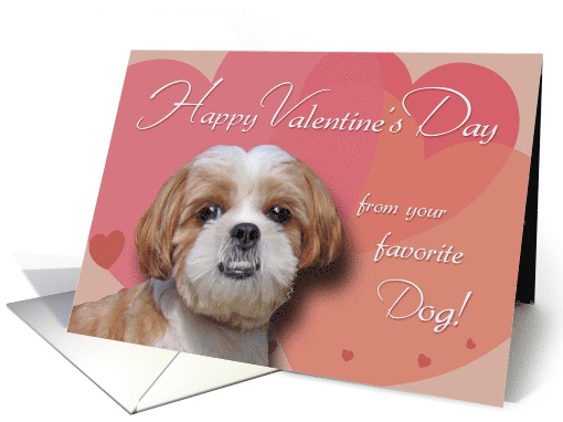 Happy Valentine's Day from Your Favorite Dog card (901952)