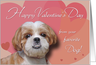 Happy Valentine’s Day from your favorite Dog! card